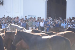 El presidente en funciones de la Junta de Andalucía, Juanma Moreno (al fondo, en la puerta de la ermita con camisa gris), asiste a la Saca de las Yeguas de Almonte.