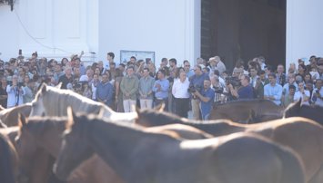 Es Andalucía - Huelva