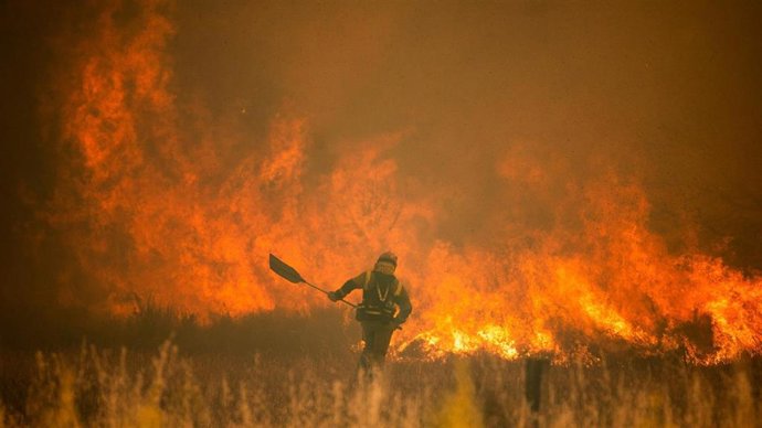 ¿Merece La Pena Hacer Un Máster De Fotoperiodismo? Qué Debe Incluir Y Cómo Elegir