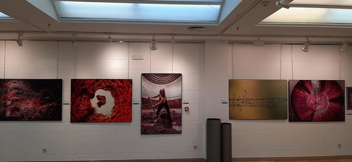 Archivo - Exposición del XXV Concurso de Fotografía ‘El Rioja y los 5 Sentidos’