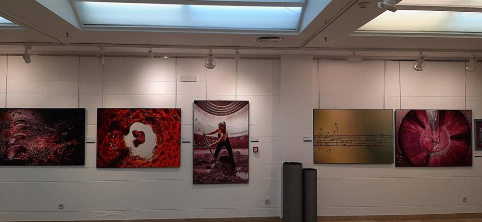 Archivo - Exposición del XXV Concurso de Fotografía ‘El Rioja y los 5 Sentidos’