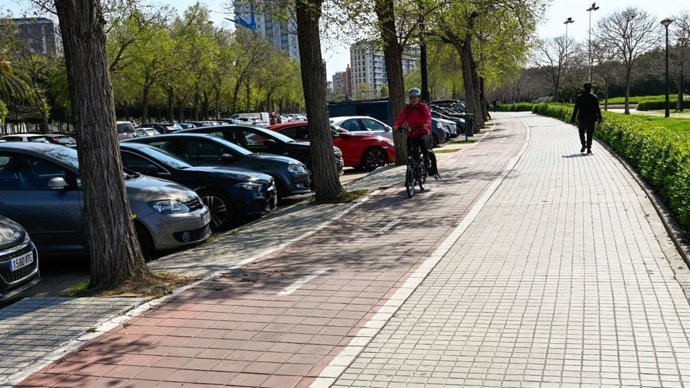 L'Ajuntament de València baixarà a la calçada el carril bici del passeig de l'Albereda entre els ponts del Regne i Monteolivete.