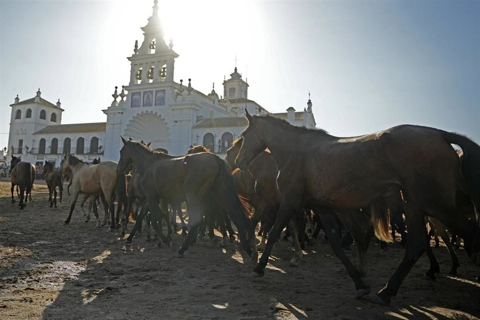 Imagen de una de las tropas de la tradicional Saca de las Yeguas a su paso por la aldea almonteña de el Rocío.