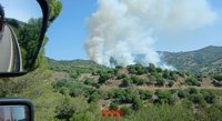 Protecció Civil envia un ES-Alert als veïns afectats per l'incendi a Tiana (Barcelona)