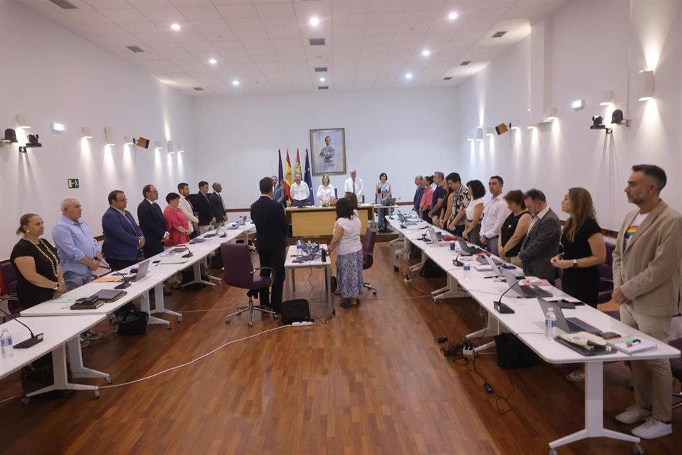Pleno en el Ayuntamiento de Guadalajara.