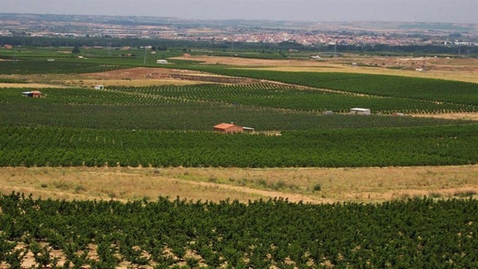 Archivo - El Govern abona 1,3 millones de LAS ayudas directas de ecoregímenes de la PAC 2024