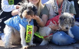 Foto: PELUDITOS DE SON REUS