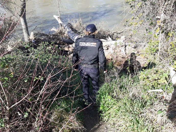 Archivo - Imagen de archivo de una agente de la Policía Nacional durante una búsqueda.