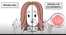 notibrasil sociedade