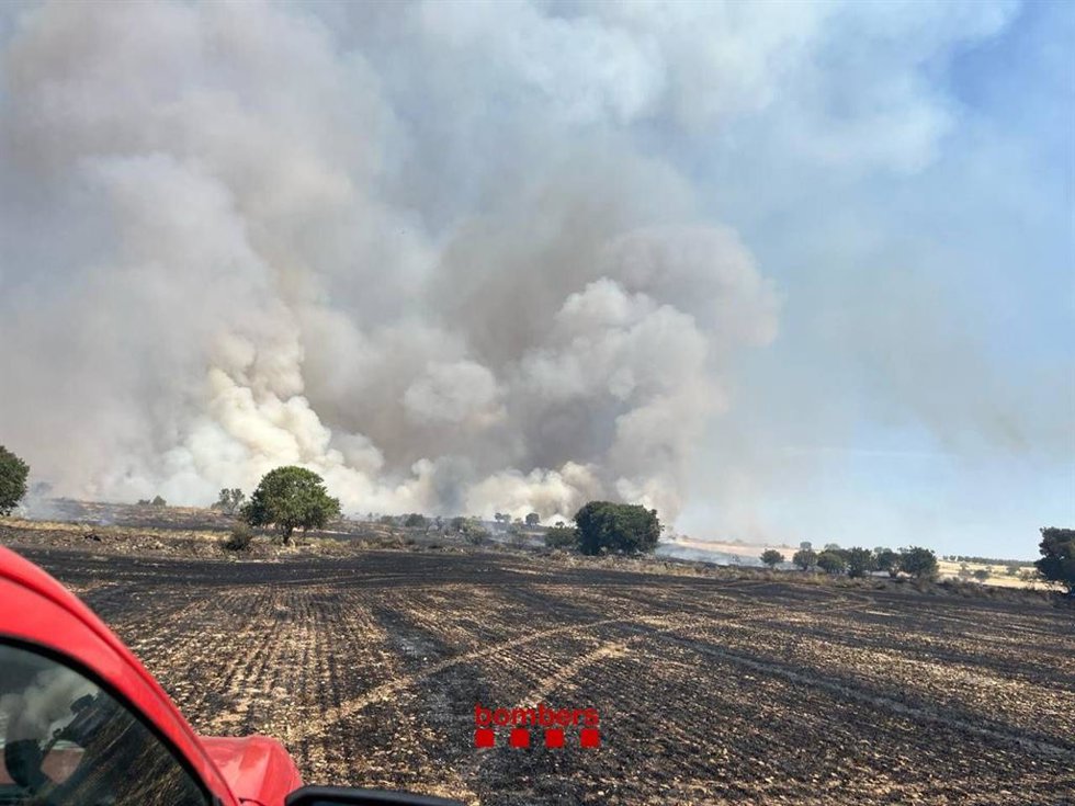 Incendio de vegetación agrícola en Tàrrega (Lleida)