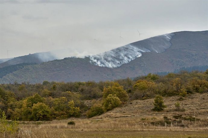 Archivo - Incendio forestal en Álava en 2025 (archivo)