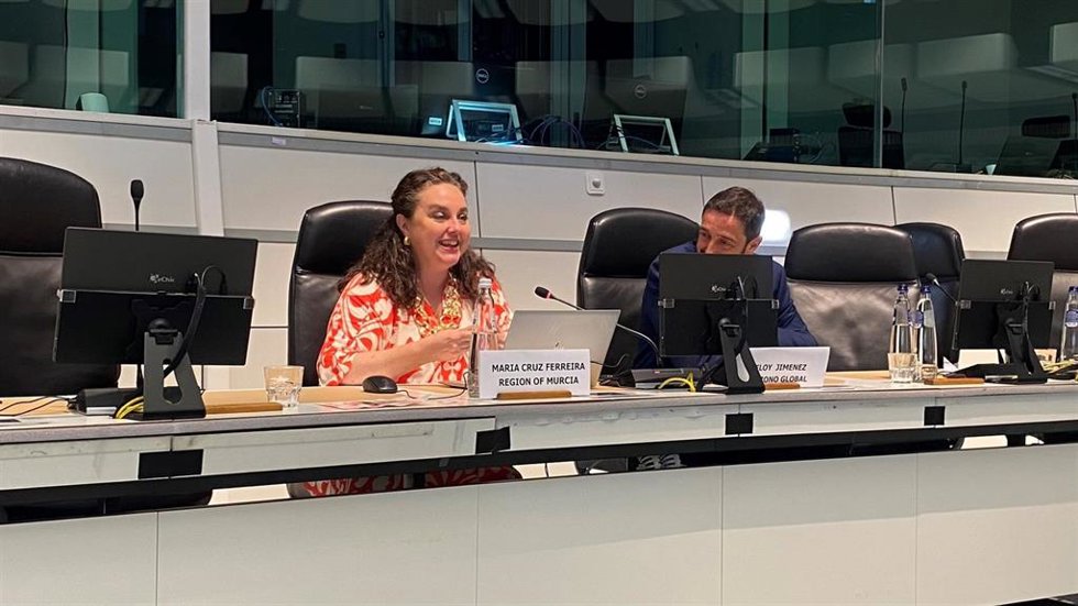 La directora general de Unión Europea reclama en el Comité de las Regiones que la selvicultura activa sea financiada como inversión estructural dentro del Marco Financiero Plurianual europeo