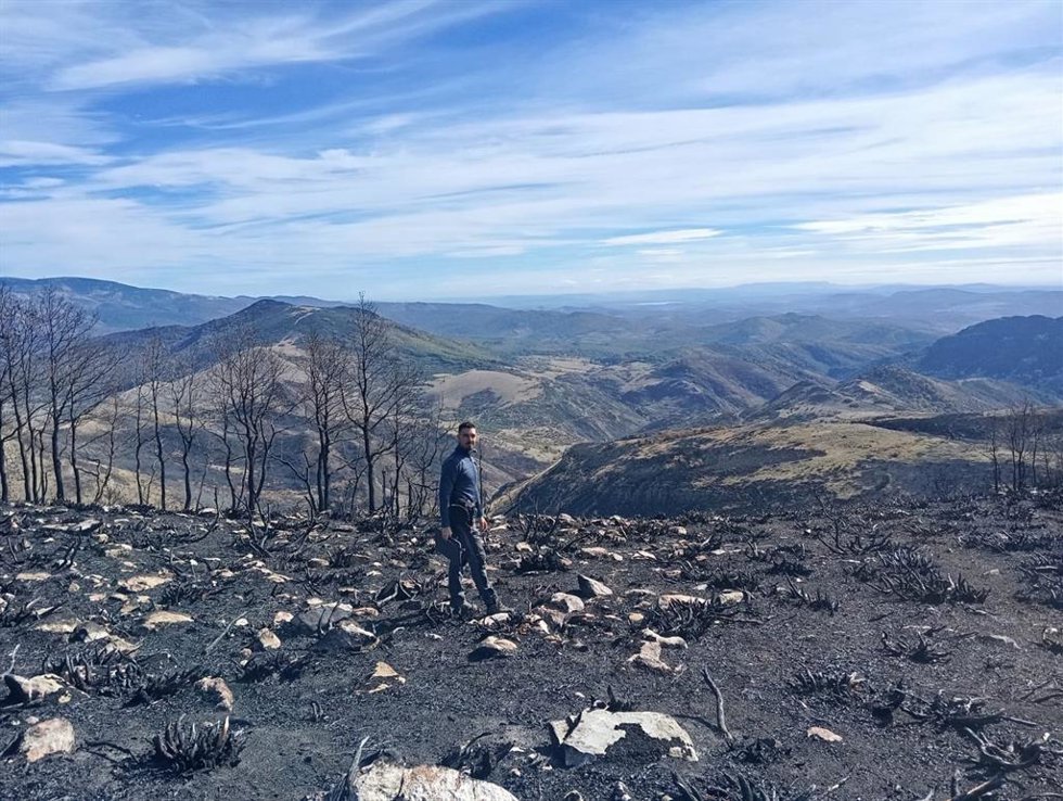 Una investigación de la ULE identifica "el cóctel de factores ambientales" que causó los grandes incendios de 2025