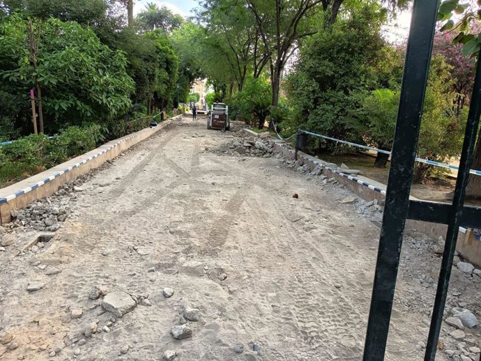 Renovación del pavimento en el Paseo Catalina de Ribera