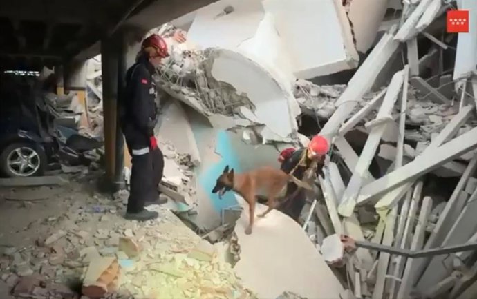 El ERICAM realizando labores de rescate en Venezuela con unidades caninas.