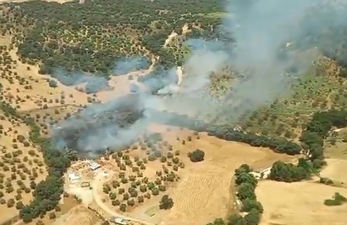Estabilizado en una hora un incendio en el paraje Arroyo Sijuela, en Ronda