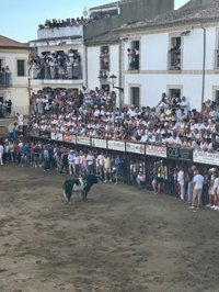 Un hombre resulta herido de carácter leve en los festejos taurinos de San Juan de Coria de este sábado