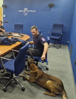 El cabo Juan Antonio Pastor, del Servicio de Extinción de Incendios y Salvamento (SEIS) municipal, junto a su perro 'Hammer', asume la jefatura de la expedición de rescate de la Región de Murcia