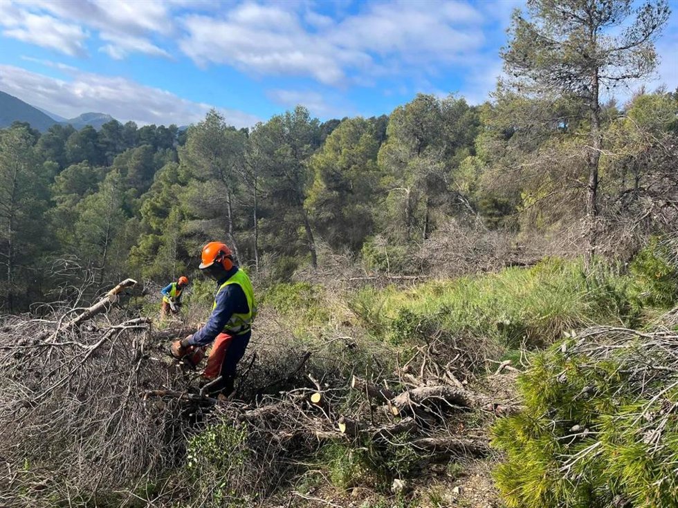 Operarios ejecutando actuaciones de emergencia en los montes de Ricote.
