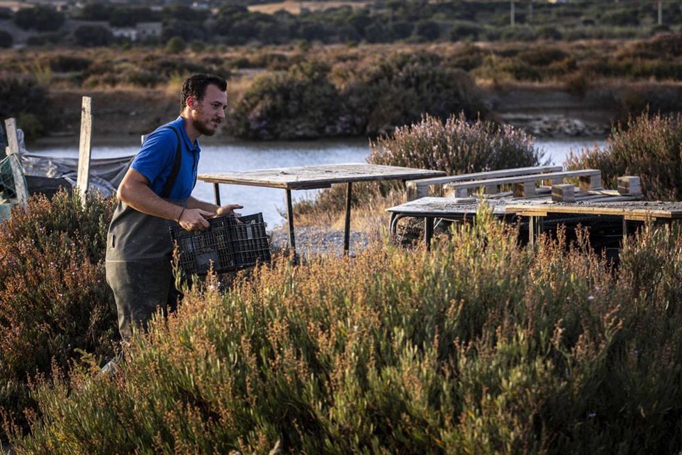 La Fundación Unicaja y Estero Natural impulsan la restauración ambiental de los esteros tradicionales de la Salina de Belén.