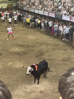 Festejos taurinos por las Fiestas de San Juan de Coria