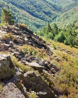 Zona del Necutia afectada por un incendio en Canales de la Sierra