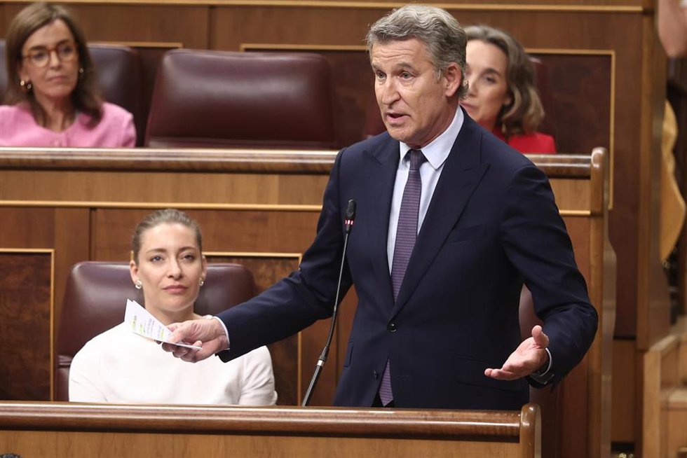 El presidente del PP, Alberto Núñez Feijóo, interviene durante una sesión de control al Gobierno, en el Congreso de los Diputados,