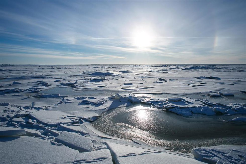 Archivo - [Mass Mail] Media Alert Bajo El Hielo De La Antártida: Señales Tempranas De Un Océano En Transformación