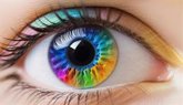 Foto: Por qué vemos millones de colores: científicos descubren el mecanismo oculto de la retina
