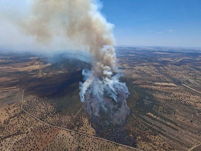Incendio forestal