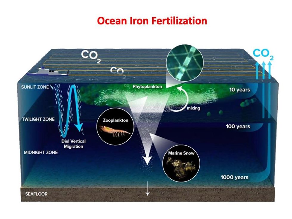 Investigadores de la ULPGC proponen fertilizar el océano con hierro contra el cambio climático