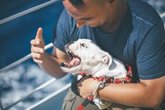 Foto: La Sociedad Española de Heridas advierte de la falta de criterios homogéneos frente a las mordeduras por animales