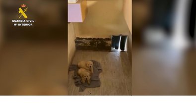 Castilla y León