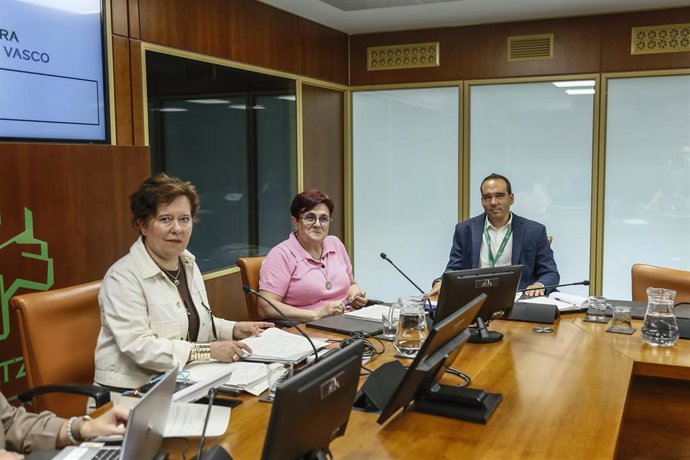 La directora general de Osakidetza, Lore Bilbao, ha comparecido ante la Comisión de Salud