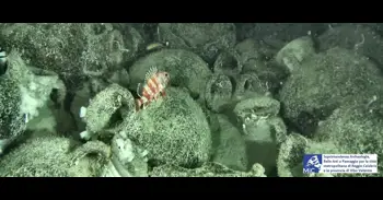 ACCIONA Energía localiza un pecio de más de 2.500 años de antigüedad en Calabria (Italia) con cargamento de 300 ánforas