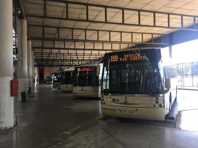 Archivo - Autobuses del Consorcio estacionados en Plaza de Armas, como foto de recurso