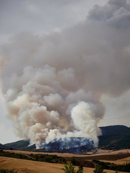 Vista del fuego, a 25 de junio de 2026, en Ezcabarte, Navarra (España).   