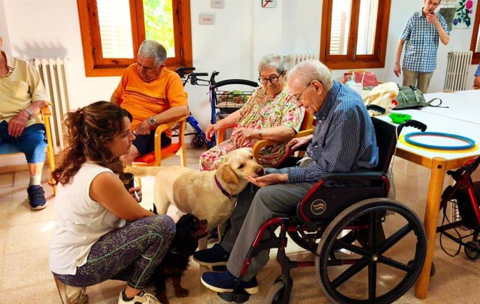 Residentes de la Llar d'Ancians participan en una sesión de terapia asistida con perros.