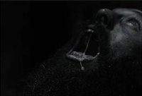 Aaron Taylor-Johnson es un hombre lobo maldito en el espeluznante tráiler de Licántropo, lo nuevo de Robert Eggers