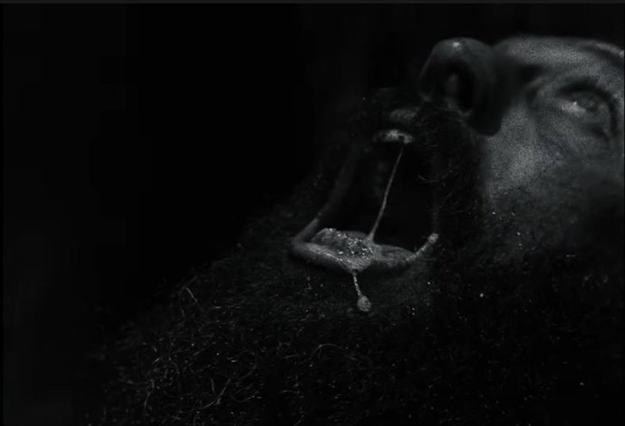 Aaron Taylor-Johnson es un hombre lobo maldito en el espeluznante tráiler de Licántropo, lo nuevo de Robert Eggers