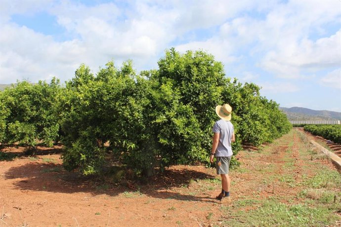 Agricultor en un campo