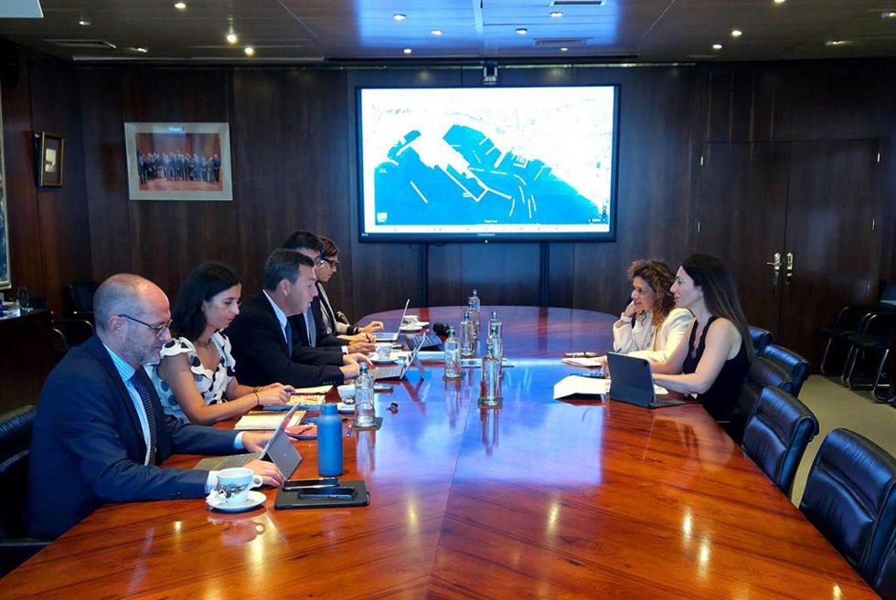 La presidenta de la APA, Rosario Soto, durante la reunión mantenida con Puertos del Estado para presentar el Plan de Empresa 2027.