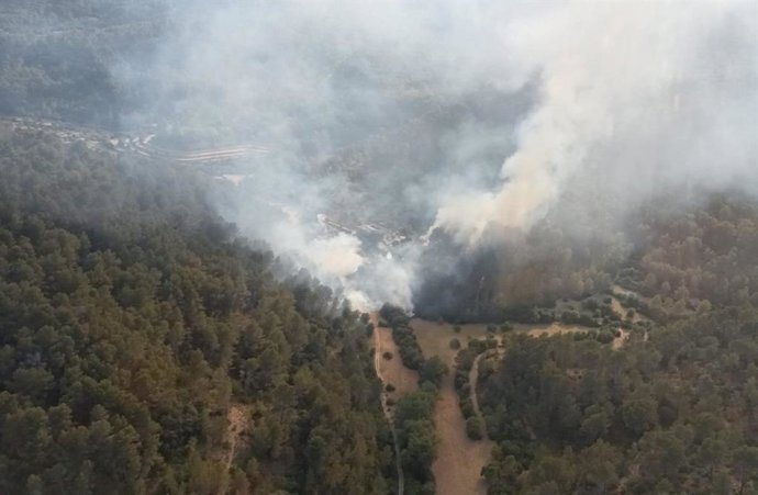 Declarado un incendio forestal en Puigpunyent