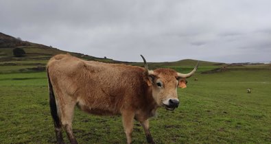 Asturias Rural