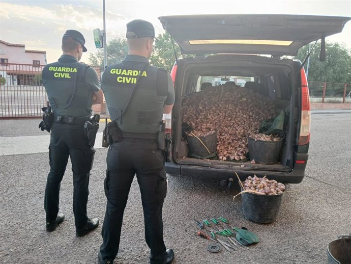 Imagen de la furgoneta incerteptada con los ajos