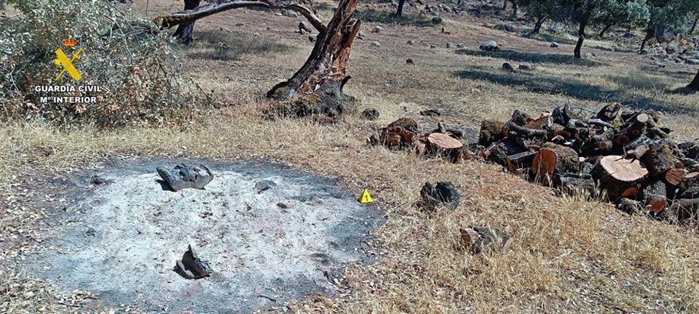 Incendio en Monesterio (Badajoz) por trabajos de poda sin autorizacion