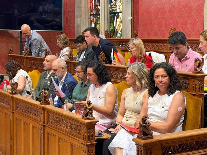 Grupo Socialista en el Consell de Mallorca.