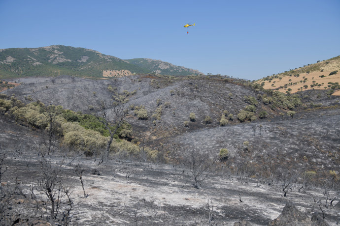 Incendio en en Calzada de Calatrava (Ciudad Real), en la pedanía de Huertezuelas.