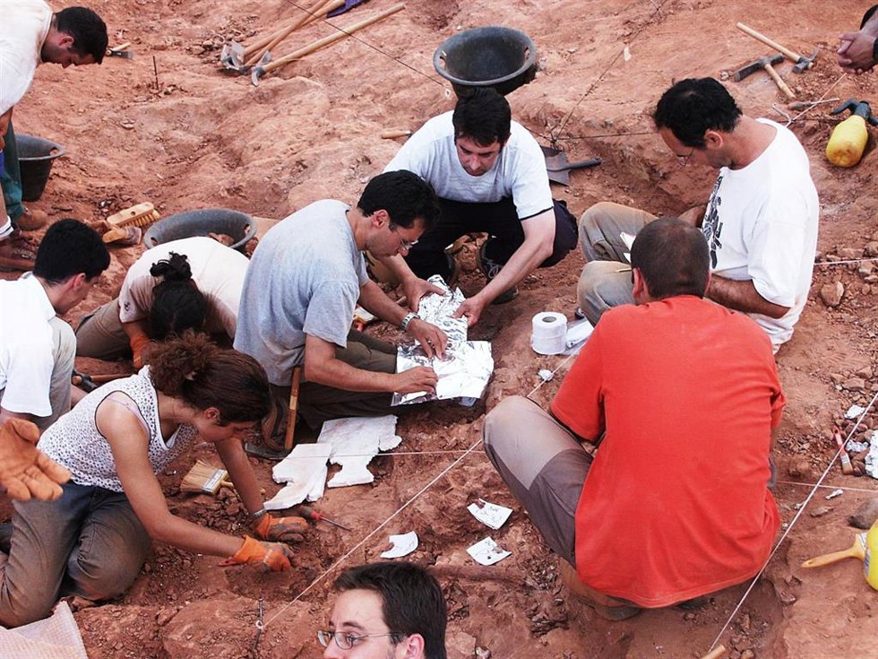 Tres nuevos estudios refuerzan la importancia científica de los dinosaurios de la Sierra de la Demanda, en Burgos.
