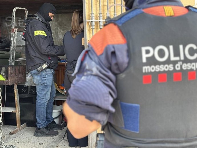 Els Mossos d'Esquadra en l'entrada i escorcoll